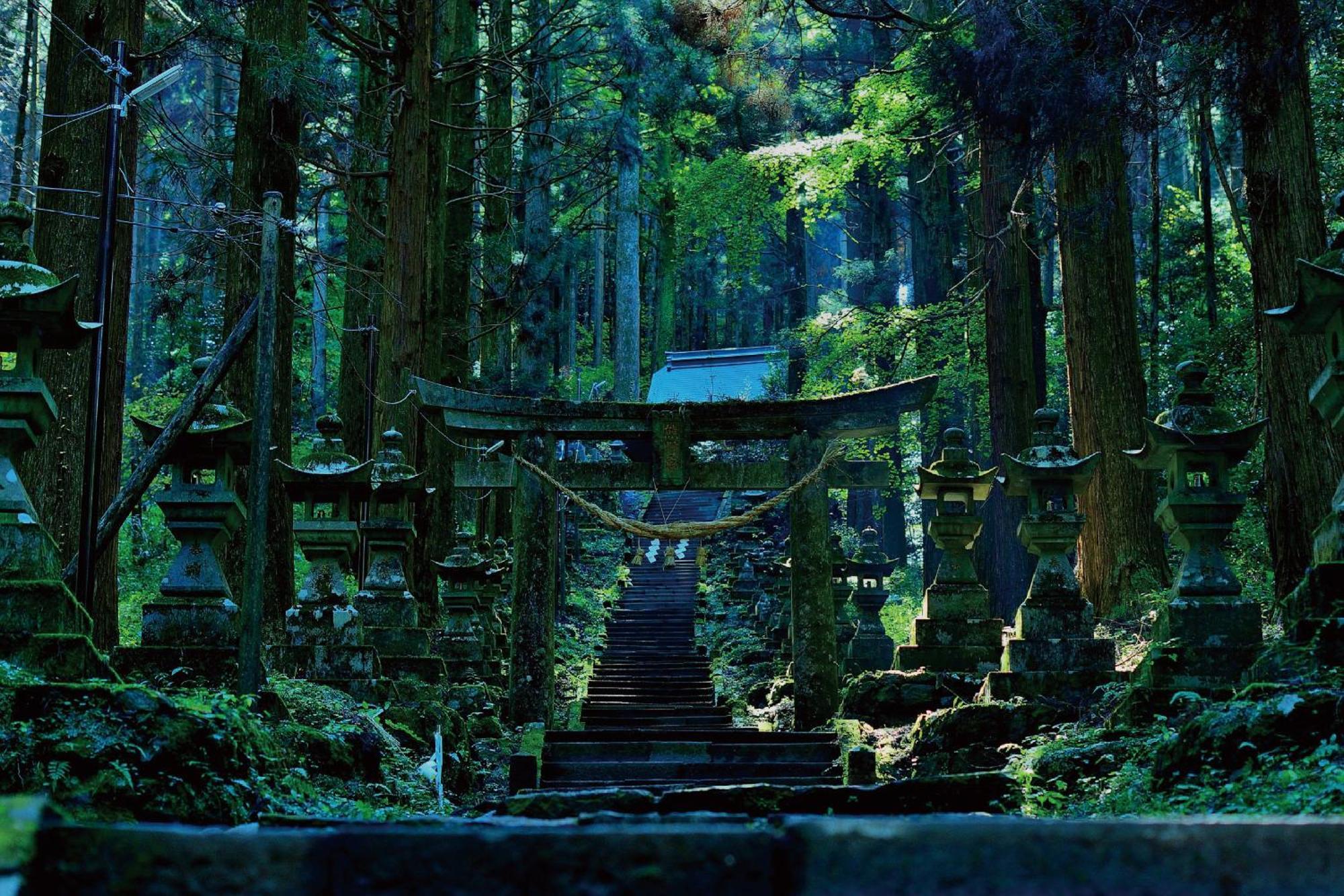 亀の井ホテル 阿蘇 旅館 4*